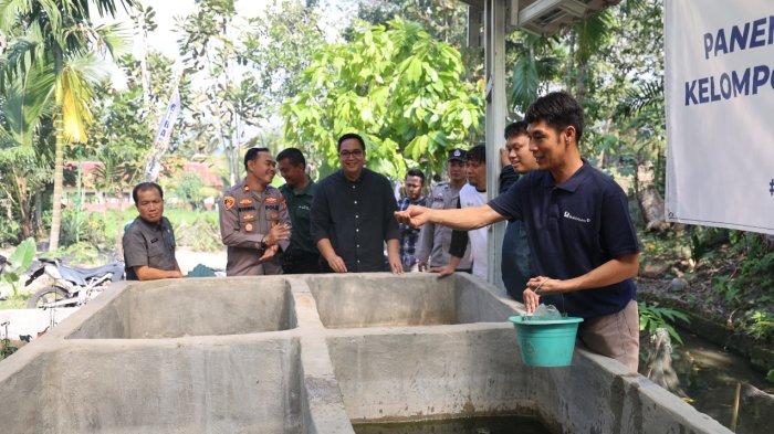 Perluas Lapangan Kerja, Bukit Asam Dorong Budidaya Ikan Gabus di Desa Tanjung Agung