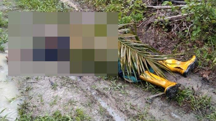 Petani sawit di Dusun 4 Desa Pinang Banjar Kecamatan Sungai Lilin Kabupaten Musi Banyuasin (Muba) bernama Mujianto, (40) tewas tersambar petir saat sedang memanen sawit di kebun, Minggu (25/2/2024) sekitar pukul 13.00 WIB.