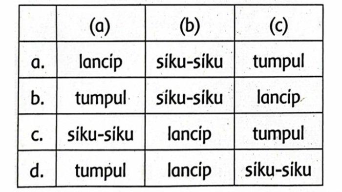Pilihan ganda soal BAB 6 Matematika kelas 5 SD semester 2 Kurikulum Merdeka