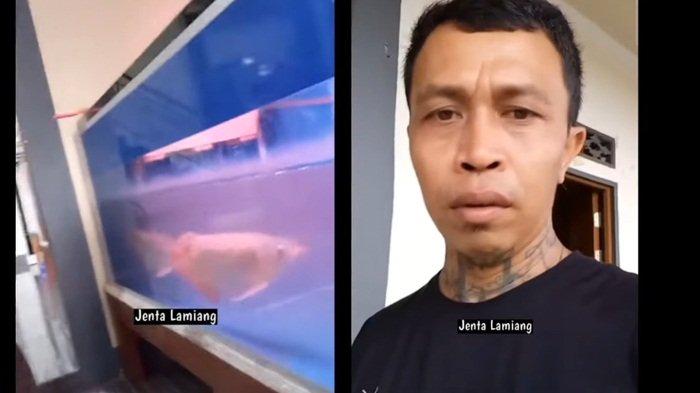 Inilah sisi lain Panglima Jilah yang jarang diketahui masyarakat Indonesia, seorang kolektor ikan hias.