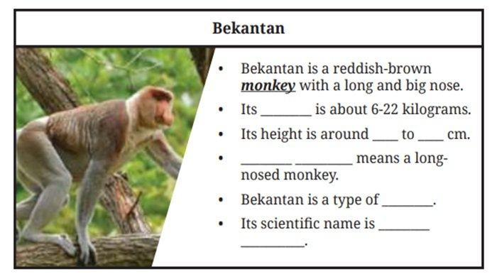Soal Bahasa Inggris Kelas 9 SMP Halaman 24 Kurikulum Merdeka, Section 2 - Listening