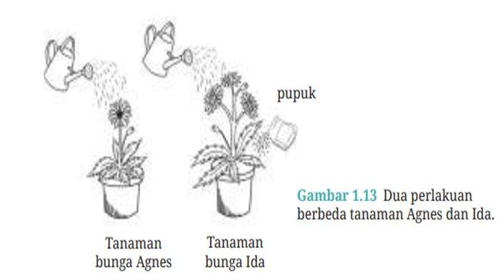 Soal IPA kelas 7 SMP halaman 18 semester 1 Kurikulum Merdeka