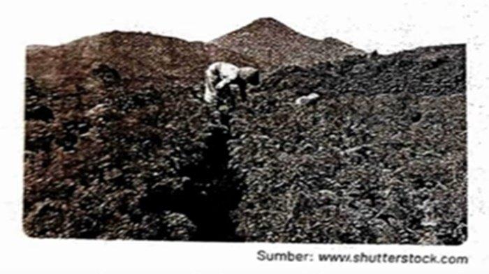 ILUSTRASI KUNCI JAWABAN - Tangkapan layar YouTube Media Pembelajaran. Soal no 5 ESPS IPAS kelas 4 SD volume 2 halaman 7-8 Kurikulum Merdeka