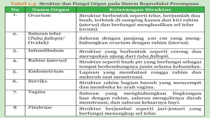 Struktur dan Fungsi Organ pada Sistem Reproduksi Perempuan