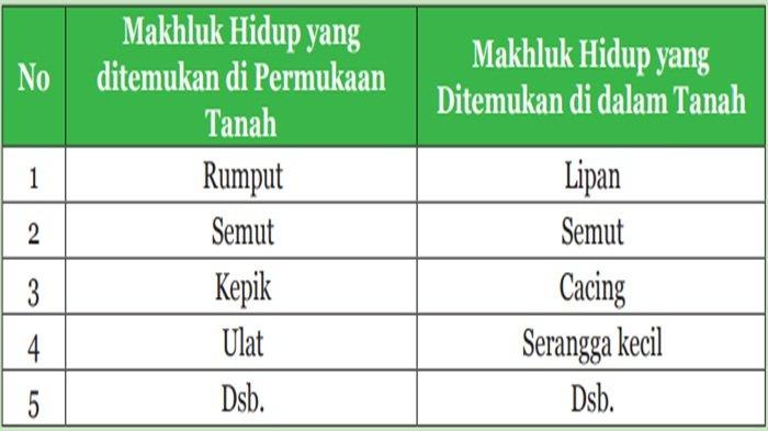 Tabel 9.2 Data Hasil Pengamatan
