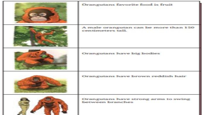 Worksheet 1.8, Bahasa Inggris kelas 9 SMP halaman 47 Kurikulum Merdeka