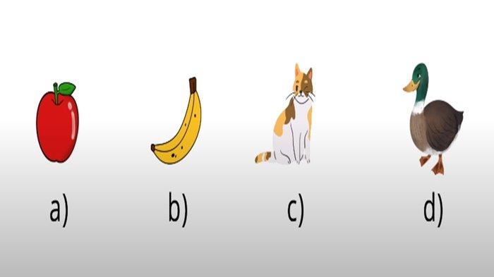 Gambar pilihan ganda soal Bahasa Inggris kelas 3 SD semester 1 Kurikulum Merdeka.