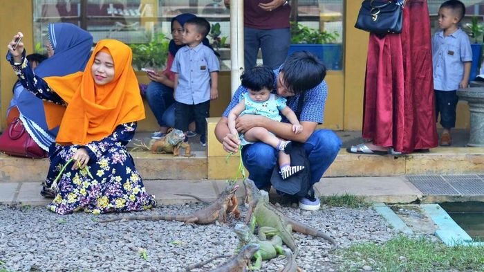 Para pengunjung bermain dan memberi makan Iguana yang ada di Palembang Bird Park