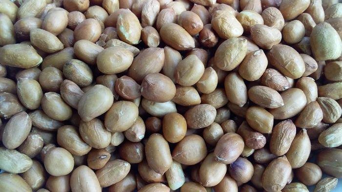 Kacang tanah tanpa kulit.