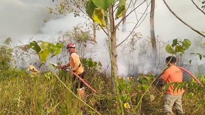 Anggota Tim Reaksi Cepat (TRC) BPBD PALI melakukan pemadaman Kebakaran lahan di Desa Sungai Baung Kecamatan Talang Ubi Kabupaten PALI pada (30/9/2023) lalu.