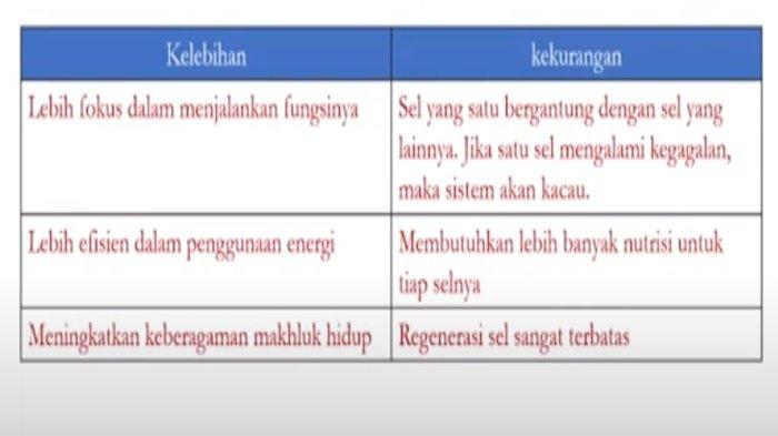 Kelebihan dan kekurangan ketika suatu sel mengalami spesialisasi.