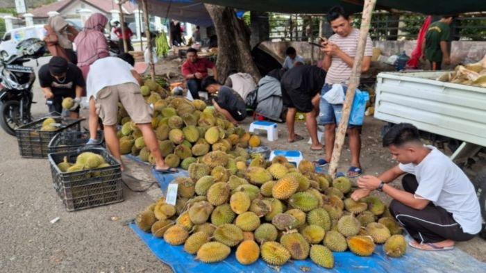 Beberapa pedagang buah durian yang menggelar dagangannya di tepi jalan dalam Kota Baturaja Kabupaten Ogan Komering Ulu (OKU) Provinsi Sumatera Selatan, Jumat (23/1/2025).