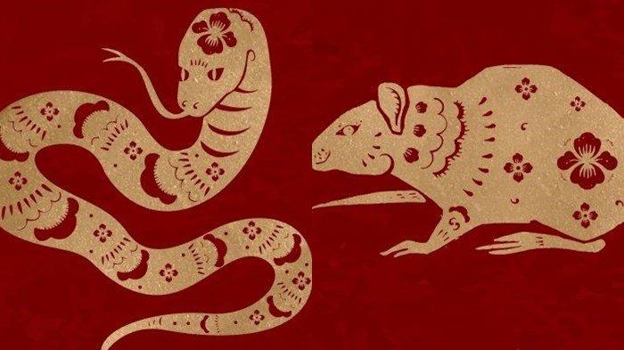 Ramalan Karier Tahun Naga Kayu 2024 Shio Naga Mencapai Kesuksesan Ramalan Karier Tahun Naga Kayu 2024 Shio Naga Mencapai Kesuksesan