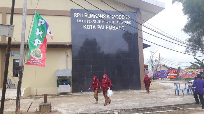 RPH Ruminansia Palembang, Melayani Jasa Potong Hewan Besar hingga ...