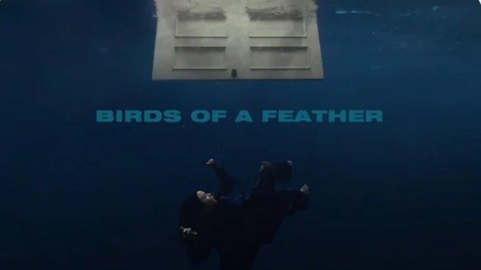 Translate Lirik Lagu Birds of a Feather - Billie Eilish: Viral di