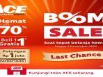 ACE-Hardware-Indonesia-1.jpg