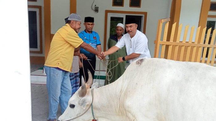 Ilustrasi hewan kurban