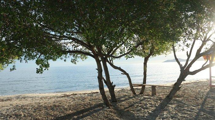 Pantai Moian, menjadi destinasi wisata favorit warga Sulawesi Tengah. Pantai Moian berada di Desa Palapi, Kecamatan Taopa, Kabupaten Parigi Moutong.