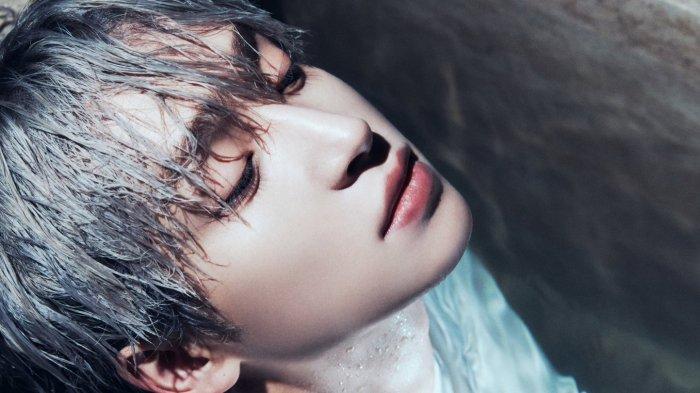 Lirik Lagu KPop Roar - The Boyz dan Terjemahan Indonesia, Jadi Musik