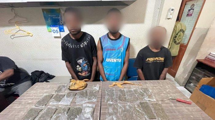 Tiga orang pengedar ganja lintas negara Indonesia - Papua New Gunea (PNG) yang dibekuk Tim Opsnal Satres Narkoba Polresta Jayapura Kota pada Rabu (5/6/2024).