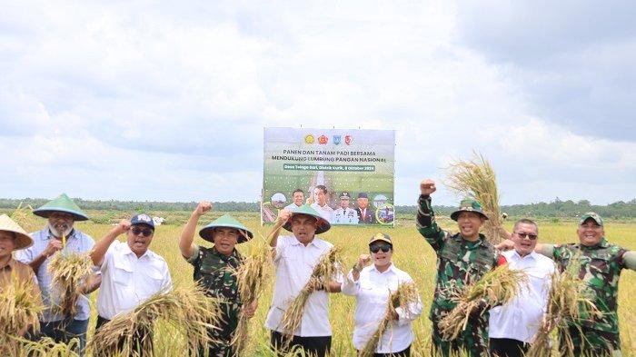 Tenaga Ahli Menteri Bidang Food Estate, Ida Bagus Purwalaksana bersama undangan lainnya melakukan panen dan tanam padi bersama di Kampung Telaga Sari, Merauke, Papua Selatan