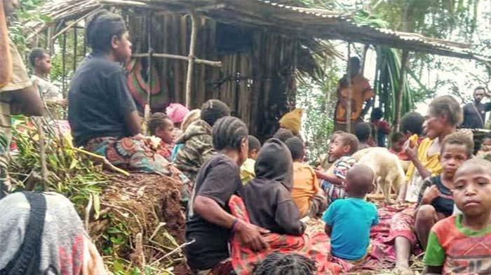 MENGUNGSI - Tampak warga Distrik Oksob, Kabupaten Pegunungan Bintang, Papua Pegunungan, saat mengungsi ke hutan, Senin (9/12/2024).(DOKUMENTASI Gereja Injili di Indonesia)