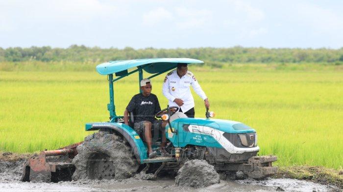 PERTANIAN - Gubernur Papua Selatan, Apolo Safanpo di lokasi persawahan Kampung Urumb, Merauke,.