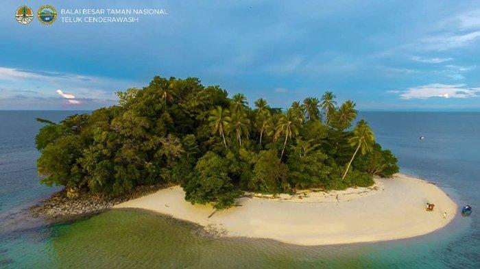 Wisata Papua: Pulau-pulau Kecil di Nabire yang Cocok Jadi Destinasi ...