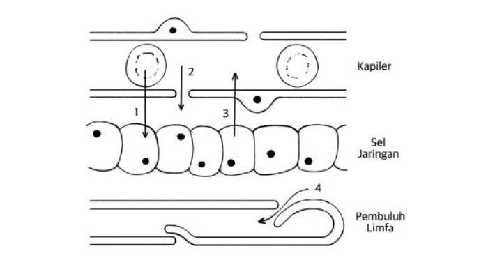 Soal Uji Kompetensi No 4 halaman 124