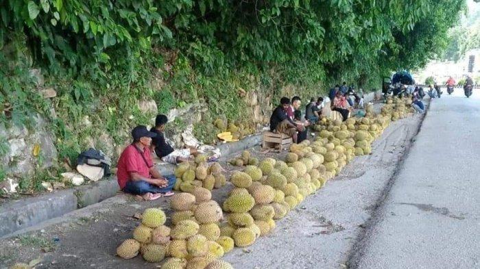 Warga Fakfak Papua Barat berharap Pemerintah Kabupaten (Pemkab) Fakfak melalui dinas terkait bisa melihat potensi unggulan daerah yakni buah durian dengan membuat semacam festival khusus, Minggu (21/1/2024).