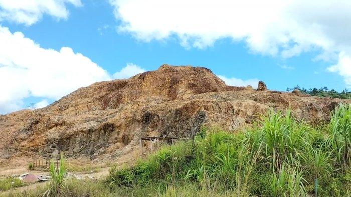 Rencana Pembangunan Papua dan Pengurasan Alam