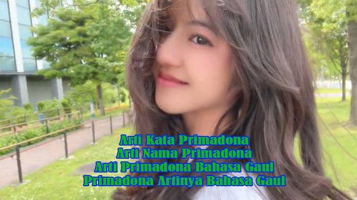 Arti Kata Primadona dan Arti Nama Primadona serta Arti Primadona Bahasa ...