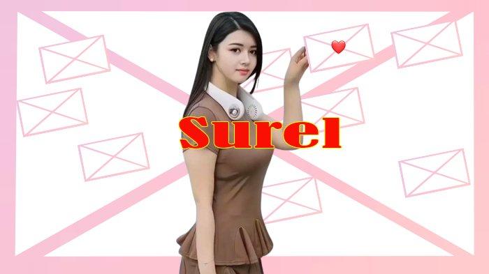Arti Surel atau Arti Kata Surel serta Jenis Surel, Fungsi Surel ...