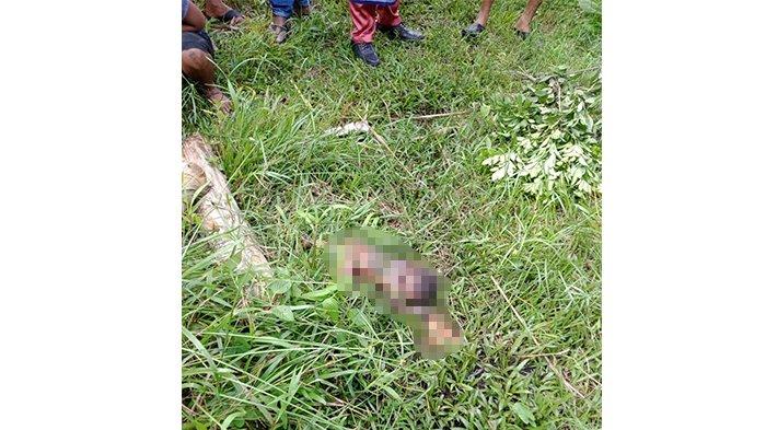 Sosok mayat bayi ditemukan di belakang rumah warga di jalan Handayani, Kelurahan Selatpanjang Timur, Kepulauan Meranti.