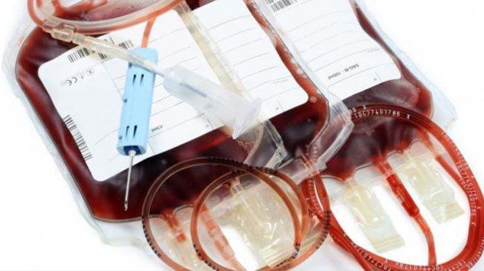 Ngeri di Rumah Pria Ini Ditemukan Puluhan Kantong Darah , Ngakunya ...