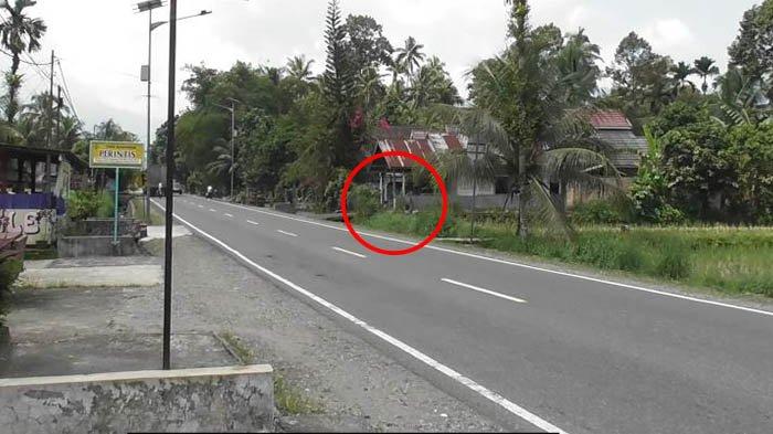 Inilaj jalan pintas yang diambil IN Dragon untuk menyergap Nia
