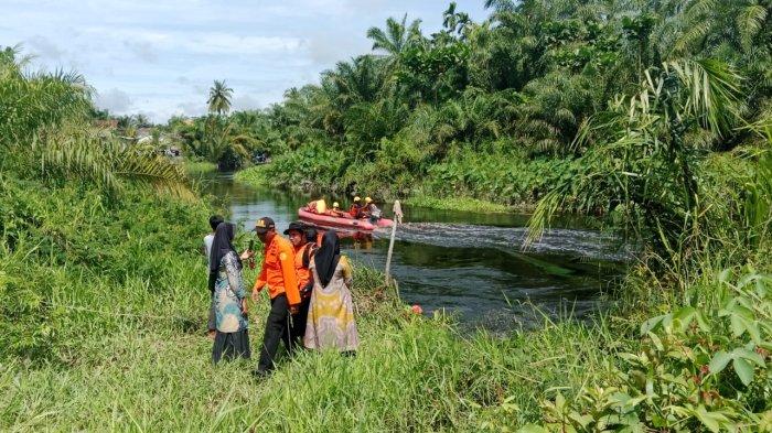 Buaya Serang Warga di Bangko, 2 Ekor Ditangkap, BKSDA Riau Akan Lakukan ...