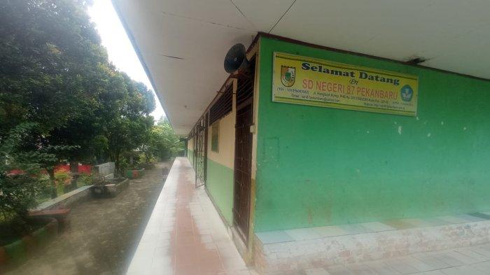 SD Negeri 87 Pekanbaru di Jalan Hang Tuah, Kecamatan Lima Puluh, Pekanbaru pernah mengalami masa jaya, dengan mendapat penghargaan Adiwiyata dan muridnya banyak.