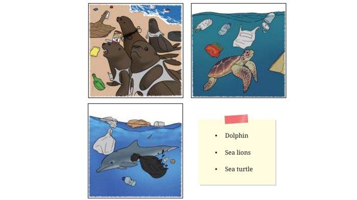 ILUSTRASI KUNCI JAWABAN : Answer Key for English Grade 8 Pages 204 Section 1 - Say What You Know Unit 2 Chapter 4 No Littering. The answer keys for English Grade 8 pages 204 Section 1 - Say What You Know Look at the pictures in Picture 4.7 Draw a line to match the sea animals in the pictures with their names Unit 2 What Happened to the Sea Animals Chapter 4 No Littering based on the English for Nusantara textbook for SMP and MTs, Merdeka Curriculum edition, published by the Kemendikbudristek, first print, 2022.