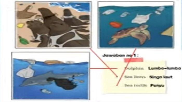 ILUSTRASI KUNCI JAWABAN : Answer Key for English Grade 8 Pages 204 Section 1 - Say What You Know Unit 2 Chapter 4 No Littering. The answer keys for English Grade 8 pages 204 Section 1 - Say What You Know Look at the pictures in Picture 4.7 Draw a line to match the sea animals in the pictures with their names Unit 2 What Happened to the Sea Animals Chapter 4 No Littering based on the English for Nusantara textbook for SMP and MTs, Merdeka Curriculum edition, published by the Kemendikbudristek, first print, 2022.