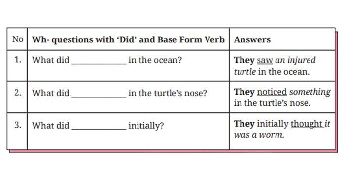ILUSTRASI KUNCI JAWABAN : Answer Key for English Grade 8 Pages 212 213 214 Section 4 - Language Focus Worksheet Unit 2. The answer keys for English Grade 8 pages 212 213 214 Section 4 - Language Focus Worksheet 4.12 Complete the following Wh- questions and Worksheet 4.13 Complete the following questions and Worksheet 4.14 Complete the following questions and Worksheet 4.15 Complete each of the following questions Unit 2 What Happened to the Sea Animals Chapter 4 No Littering based on the English for Nusantara textbook for SMP and MTs, Merdeka Curriculum edition, published by the Kemendikbudristek, first print, 2022.