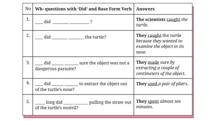 ILUSTRASI KUNCI JAWABAN : Kunci Jawaban Bahasa Inggris Kelas 8 Halaman 212 213 214 Section 4 - Language Focus Worksheet. Kunci jawaban Bahasa Inggris kelas 8 halaman 212 213 214 Section 4 - Language Focus Worksheet 4.12 Complete the following Wh- questions and Worksheet 4.13 Complete the following questions and Worksheet 4.14 Complete the following questions and Worksheet 4.15 Complete each of the following questions Unit 2 What Happened to the Sea Animals Chapter 4 No Littering sesuai buku paket English For Nusantara SMP dan MTs edisi Kurikulum Merdeka Kemendikbudristek cetakan pertama 2022.