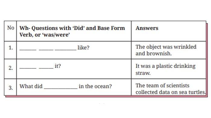 ILUSTRASI KUNCI JAWABAN : Kunci Jawaban Bahasa Inggris Kelas 8 Halaman 212 213 214 Section 4 - Language Focus Worksheet. Kunci jawaban Bahasa Inggris kelas 8 halaman 212 213 214 Section 4 - Language Focus Worksheet 4.12 Complete the following Wh- questions and Worksheet 4.13 Complete the following questions and Worksheet 4.14 Complete the following questions and Worksheet 4.15 Complete each of the following questions Unit 2 What Happened to the Sea Animals Chapter 4 No Littering sesuai buku paket English For Nusantara SMP dan MTs edisi Kurikulum Merdeka Kemendikbudristek cetakan pertama 2022.