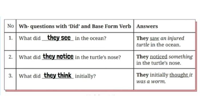 ILUSTRASI KUNCI JAWABAN : Kunci Jawaban Bahasa Inggris Kelas 8 Halaman 212 213 214 Section 4 - Language Focus Worksheet. Kunci jawaban Bahasa Inggris kelas 8 halaman 212 213 214 Section 4 - Language Focus Worksheet 4.12 Complete the following Wh- questions and Worksheet 4.13 Complete the following questions and Worksheet 4.14 Complete the following questions and Worksheet 4.15 Complete each of the following questions Unit 2 What Happened to the Sea Animals Chapter 4 No Littering sesuai buku paket English For Nusantara SMP dan MTs edisi Kurikulum Merdeka Kemendikbudristek cetakan pertama 2022.