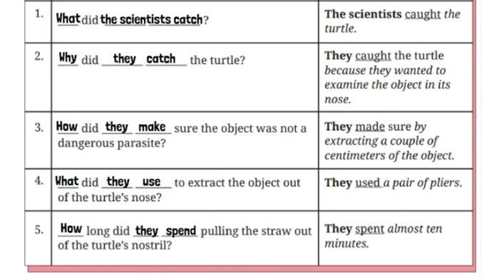 ILUSTRASI KUNCI JAWABAN : Kunci Jawaban Bahasa Inggris Kelas 8 Halaman 212 213 214 Section 4 - Language Focus Worksheet. Kunci jawaban Bahasa Inggris kelas 8 halaman 212 213 214 Section 4 - Language Focus Worksheet 4.12 Complete the following Wh- questions and Worksheet 4.13 Complete the following questions and Worksheet 4.14 Complete the following questions and Worksheet 4.15 Complete each of the following questions Unit 2 What Happened to the Sea Animals Chapter 4 No Littering sesuai buku paket English For Nusantara SMP dan MTs edisi Kurikulum Merdeka Kemendikbudristek cetakan pertama 2022.