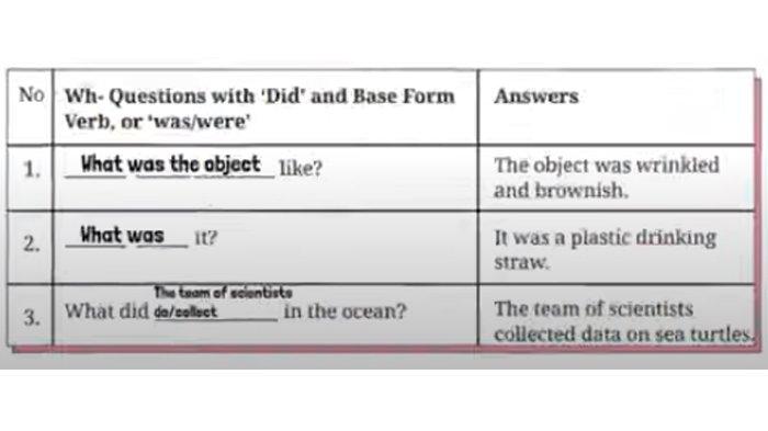 ILUSTRASI KUNCI JAWABAN : Kunci Jawaban Bahasa Inggris Kelas 8 Halaman 212 213 214 Section 4 - Language Focus Worksheet. Kunci jawaban Bahasa Inggris kelas 8 halaman 212 213 214 Section 4 - Language Focus Worksheet 4.12 Complete the following Wh- questions and Worksheet 4.13 Complete the following questions and Worksheet 4.14 Complete the following questions and Worksheet 4.15 Complete each of the following questions Unit 2 What Happened to the Sea Animals Chapter 4 No Littering sesuai buku paket English For Nusantara SMP dan MTs edisi Kurikulum Merdeka Kemendikbudristek cetakan pertama 2022.