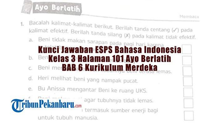Kunci Jawaban ESPS Bahasa Indonesia Kelas 3 Halaman 101 Ayo Berlatih ...