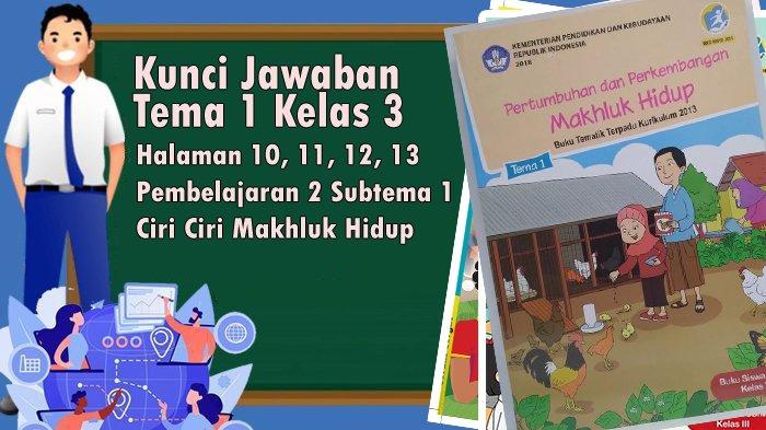 Kunci Jawaban Tema 1 Kelas 3 Halaman 10 11 12 13 Pembelajaran 2