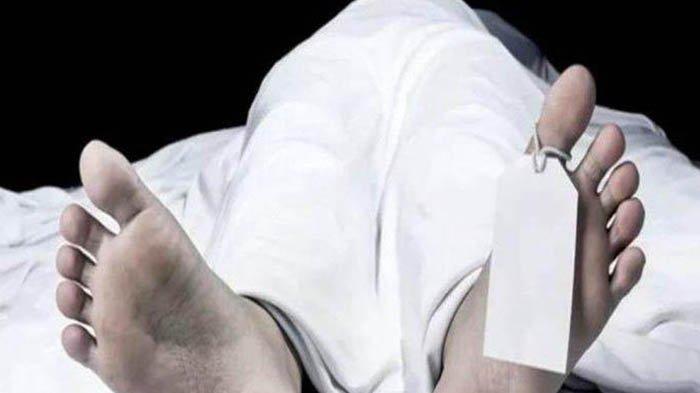 LDR yang bikin geger, istri di makassar tikam suami karena cemburu