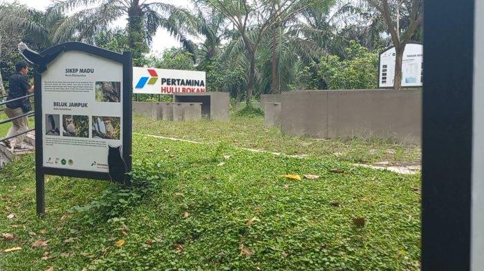 Papan informasi yang terdapat di Arboretum Taman Kehati Unilak